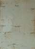 Image of Puntos en hueso IV